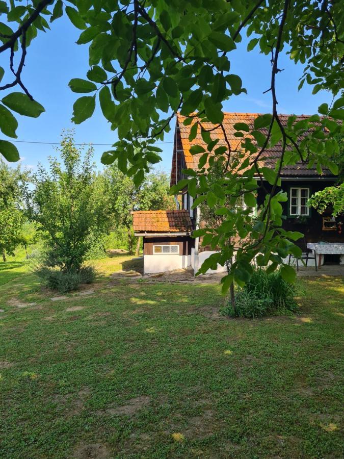Holiday Home Hizica V Plavem Trnacu Gornja Stubica Kültér fotó