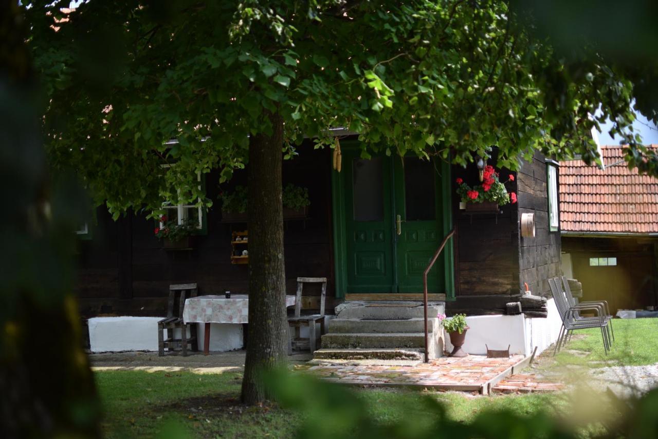 Holiday Home Hizica V Plavem Trnacu Gornja Stubica Kültér fotó