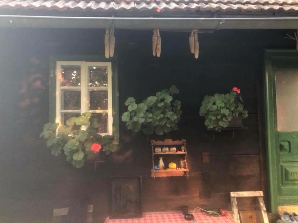 Holiday Home Hizica V Plavem Trnacu Gornja Stubica Kültér fotó